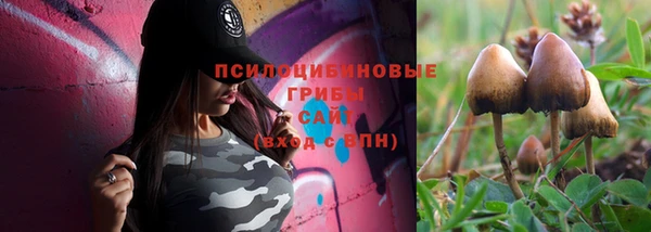 дурь Богородицк