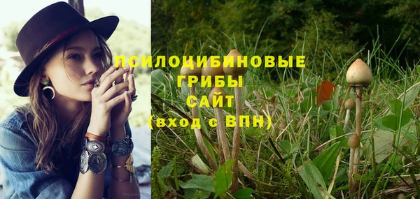 каннабис Богородск