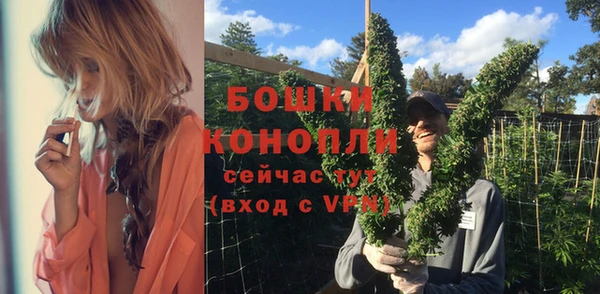 дурь Богородицк