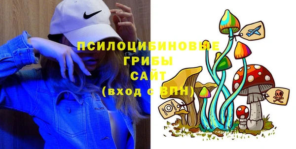 дурь Богородицк