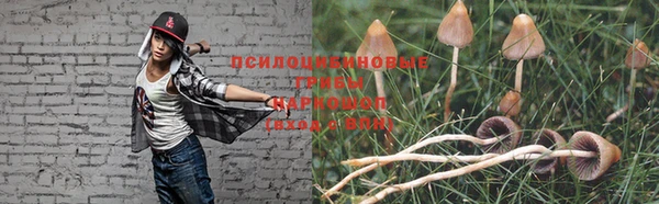 трава Богданович